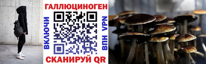 Псилоцибиновые грибы мухоморы  кракен зеркало  Новая Усмань 